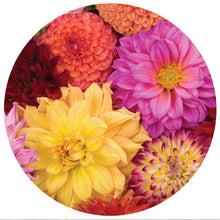 Load image into Gallery viewer, Best Seller! Cosmetics Mat - Dahlia
